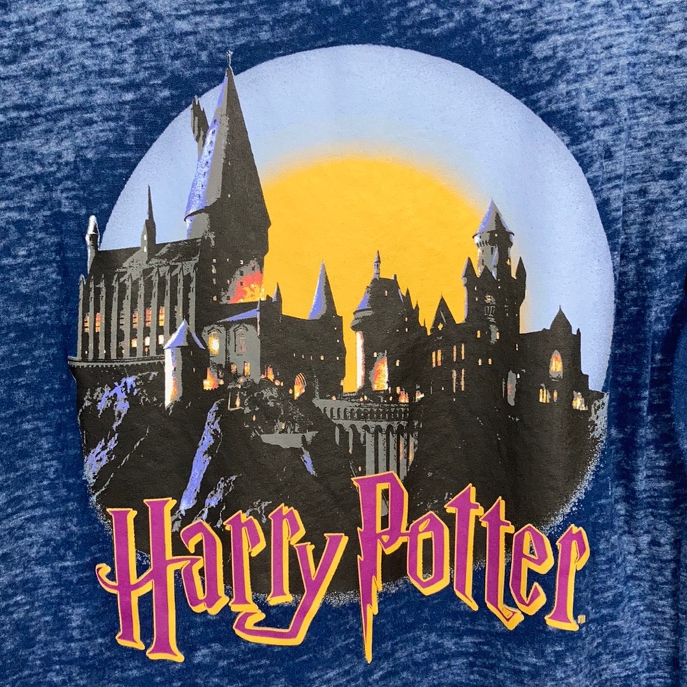 Harry Potter Blue Burnout Short Sleeve Shirt Large - Picture 2 of 7